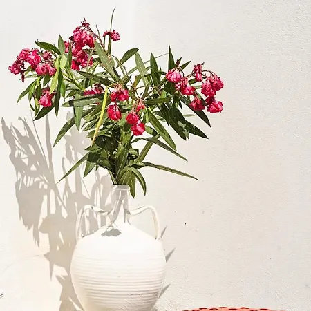 Bonzoe #3 Apartment Parikia (Paros)