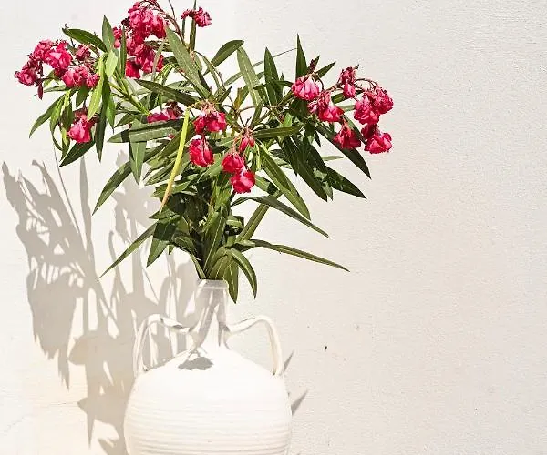 Bonzoe #3 Lägenhet Páros