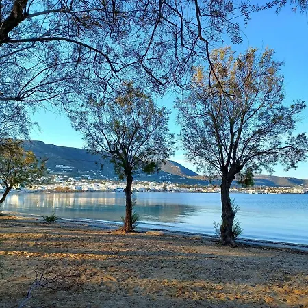 Apartamento Bonzoe #3